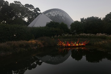 Adelaide botanic garden at dusk